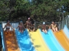 DSC00983